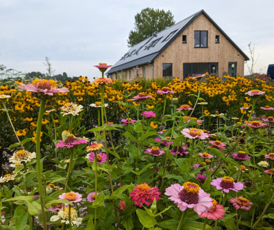 Hoeve-met-bloemen-400×335